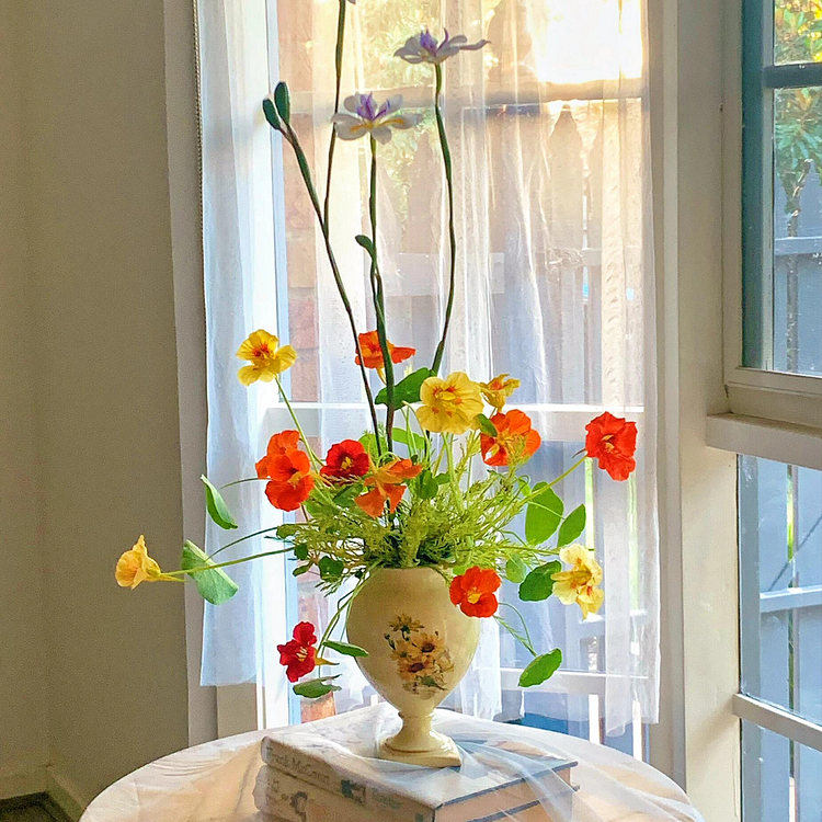 Nasturtium Seeds - Mixed Colors