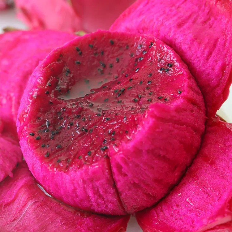 Bonsai Pitaya Seeds-Dragon Fruit