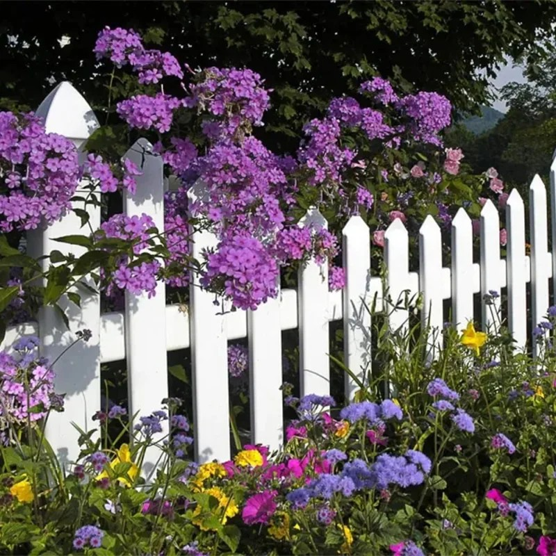 Mixed Perennial Flowers for All Seasons – 100+ Kinds