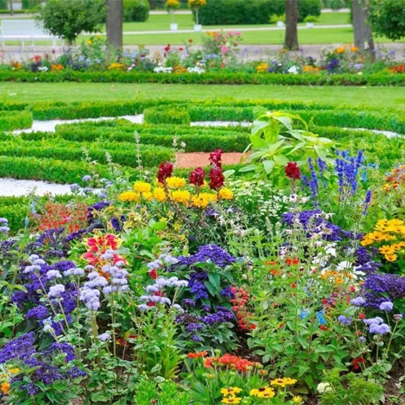 Mixed Perennial Flowers for All Seasons – 100+ Kinds